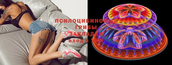 apvp Бородино