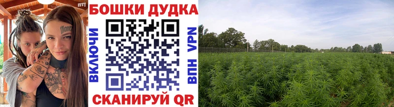 закладки  Облучье  Каннабис марихуана 